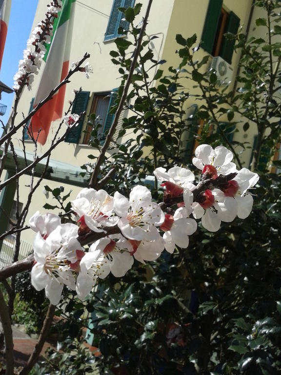 Hotel Villa Rita Montecatini Terme Exterior foto